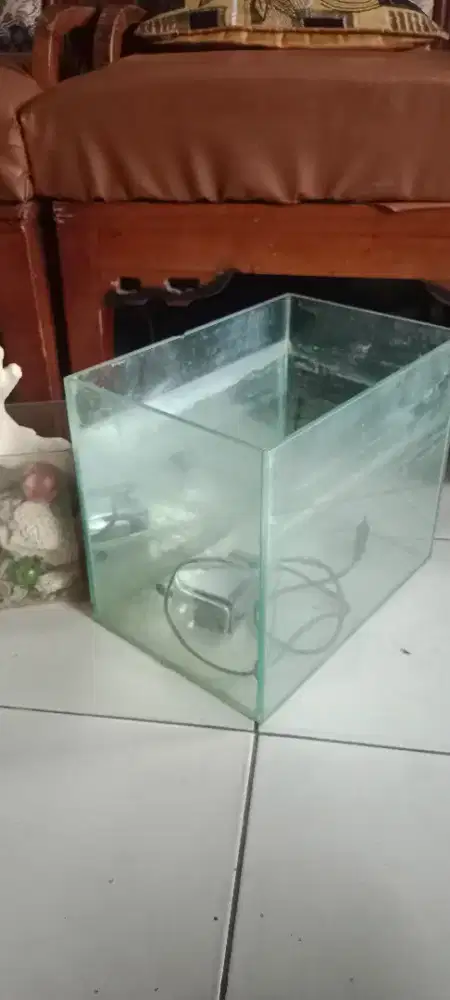 Aquarium kaca sedang