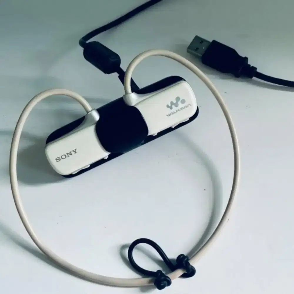 Sony Walkman NWZ-W273