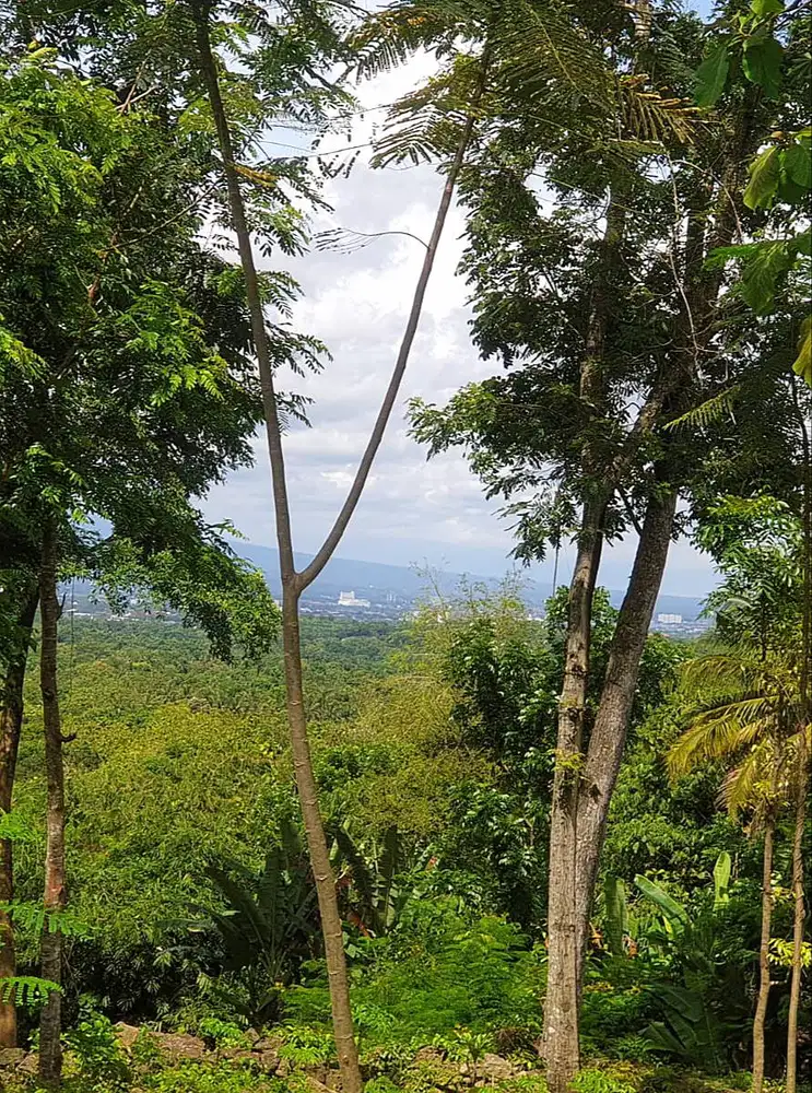 Tanah View Cantik Cocok dibangun Villa atau Cafe di Bangunjiwo