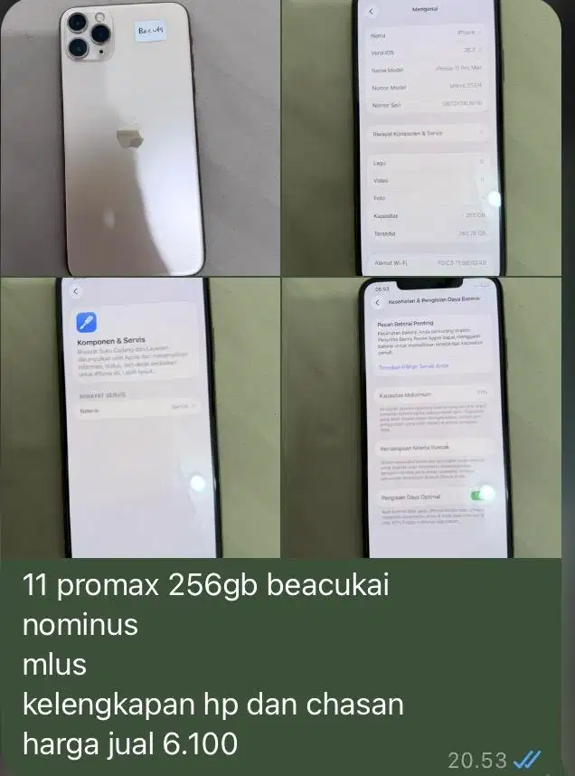 jual ip 11 pro max 256gb