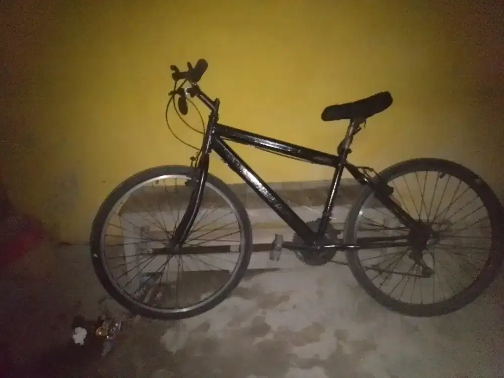 Sepeda hybrid mulus baca deskripsi