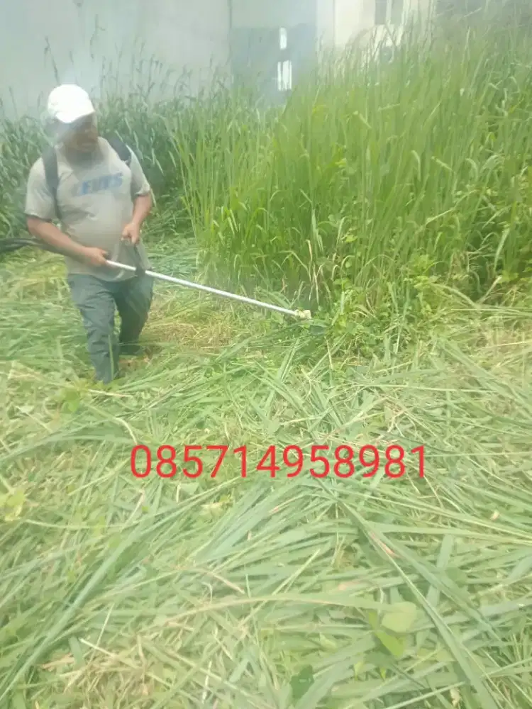 Tukang babat rumput harga terima rapi dan angkut sampah 15.000/meter