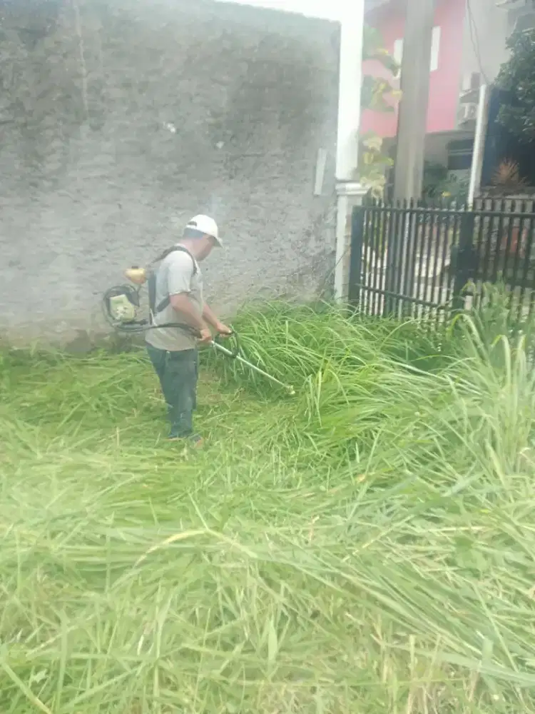 Tukang babat rumput harga terima rapi dan angkut sampah 15.000/meter