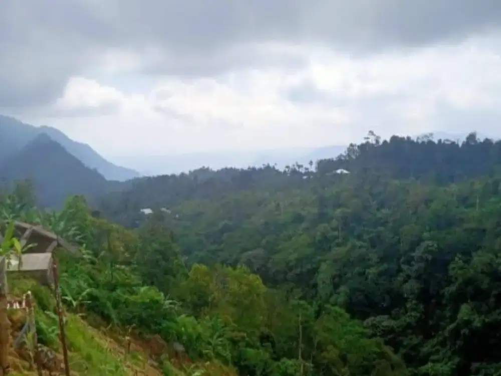 MILIKI LAHAN EKOWISATA 6,5 HA DI BALI – INVESTASI ECO-DESTINATION DEKAT TURYAPADA TOWER