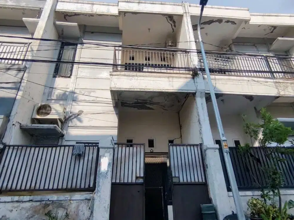 Rumah Kapas Gading  Madya
