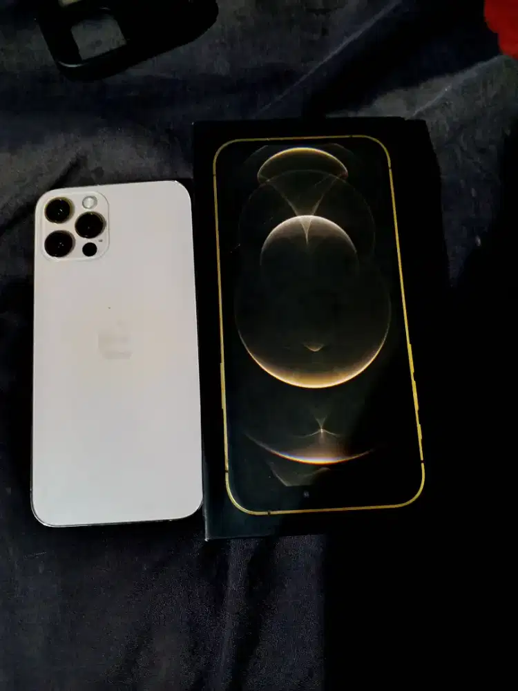 iPhone 12 pro max
