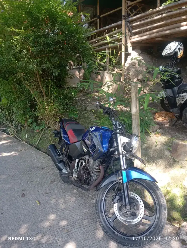 Honda Tiger Revo