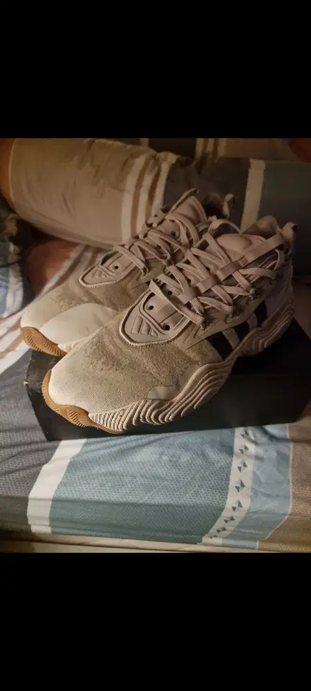 Adidas Trae young 3 wonder beige