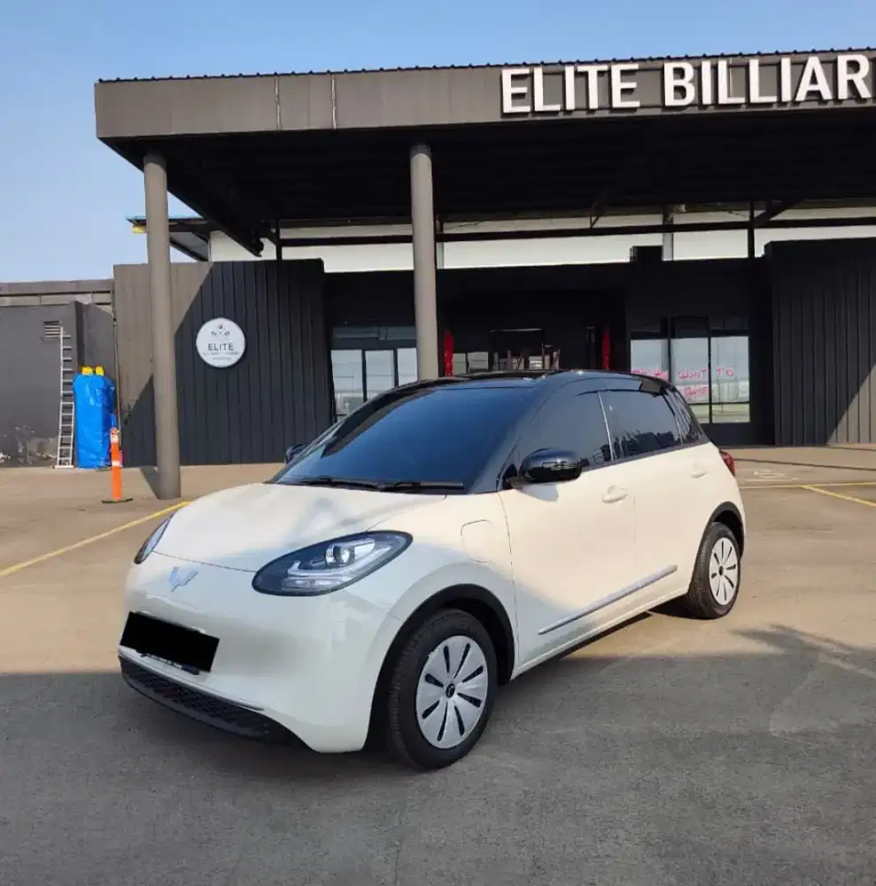 Wuiling Binguo Lite EV Range Nik 2025
White