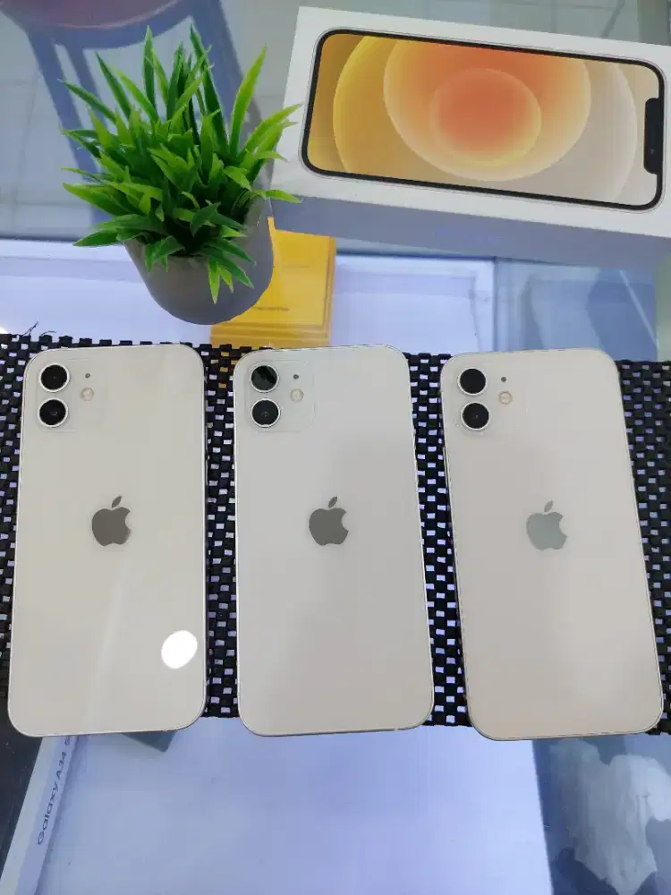 iPhone  12  64 Gb  (Unit  istimewa / mulus / ori)