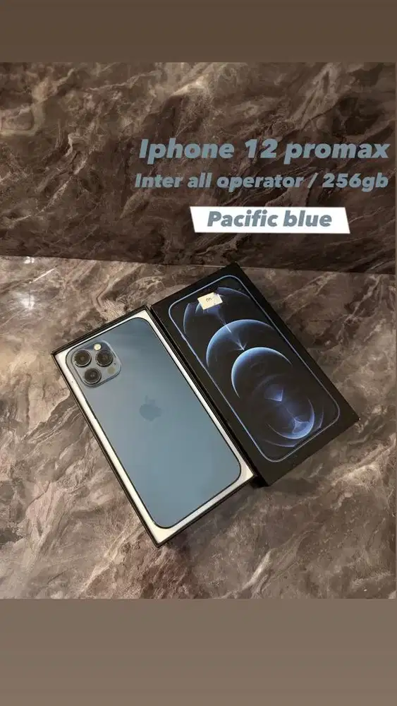 iPhone 12 Pro Max 256 Gb Garansi inter