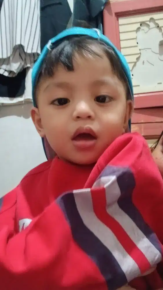 Mencari Pekerjaan Kennel Girl/Art