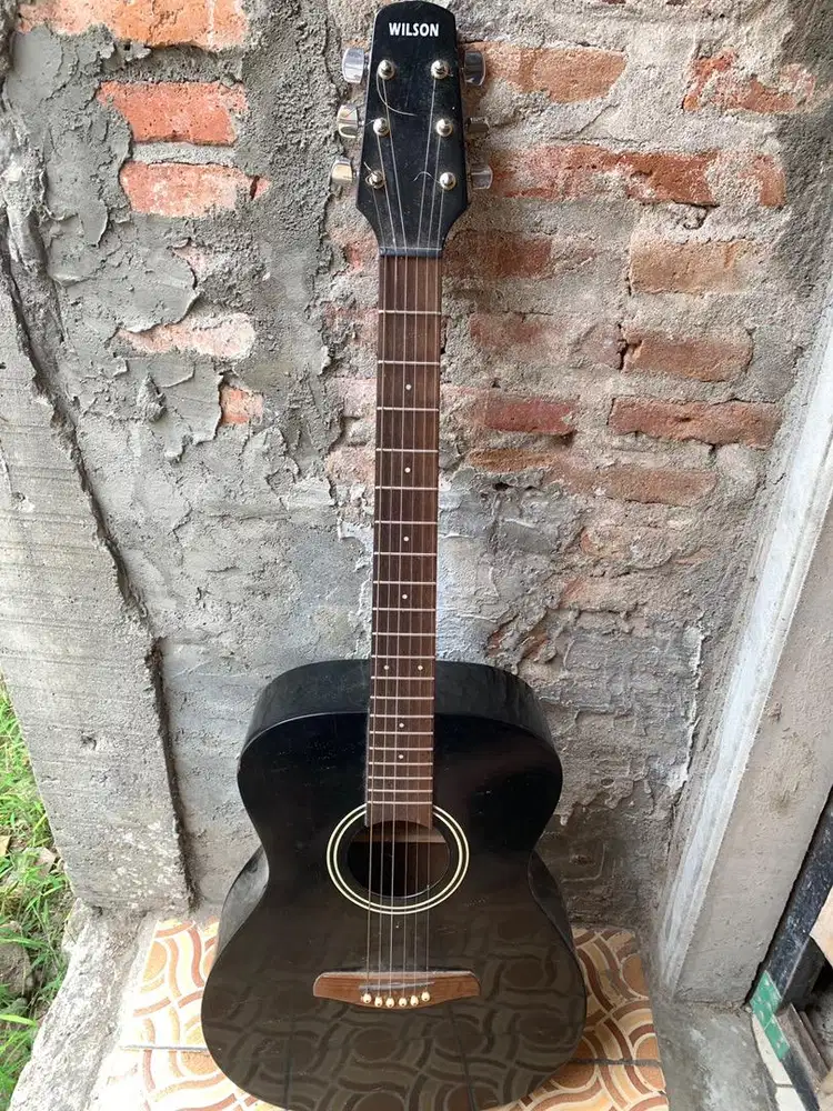 Gitar Wilson FG80