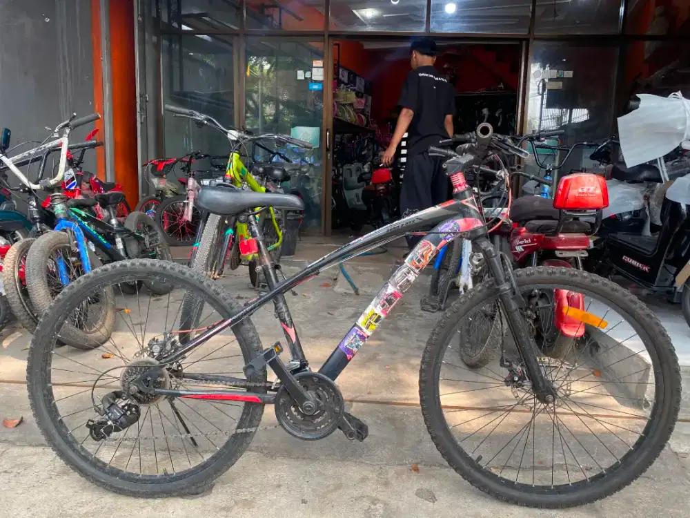 Sepedah gunung Aviator bekas