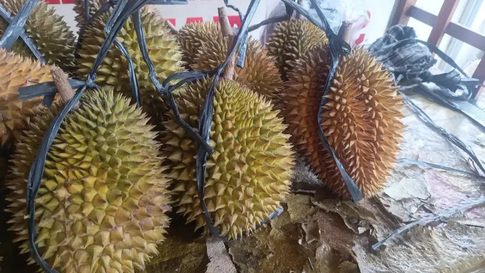 Mencari pekerjaan