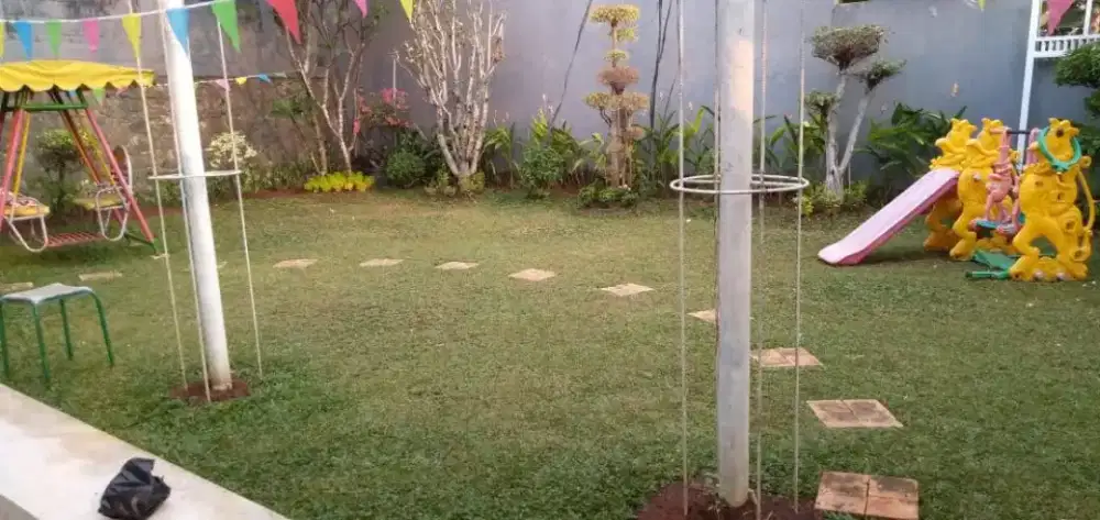 Rumput gajah mini harga termasuk ongkir dan jasa tanam 40.000/meter