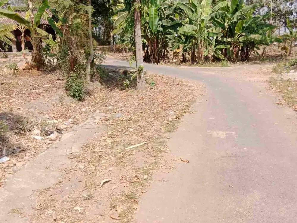 pekarangan 479m² , hook muka 22m, 1,5 km dari jalan raya Lawu, dongeng sapen Mojolaban sukoharjo
