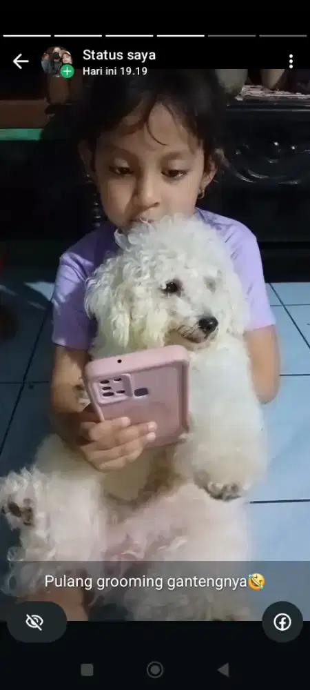 Anjing podle luchu