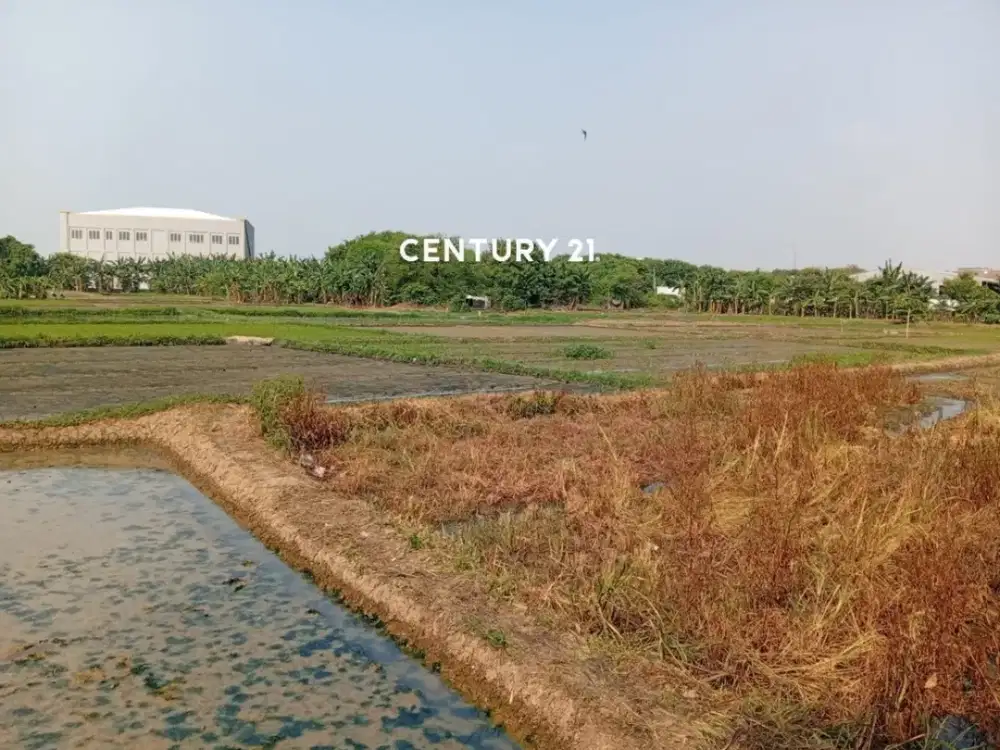 Dijual Lahan Luas Di Cakung Jaktim Mk 18518