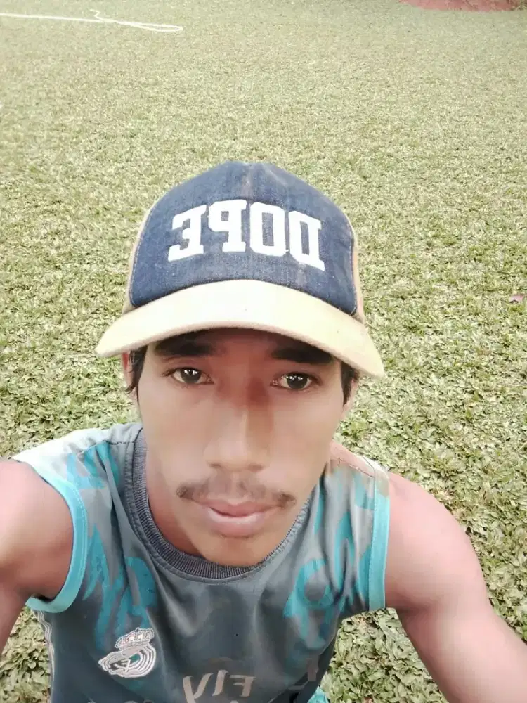 Rumput gajah mini harga termasuk ongkir dan jasa tanam 40.000/meter