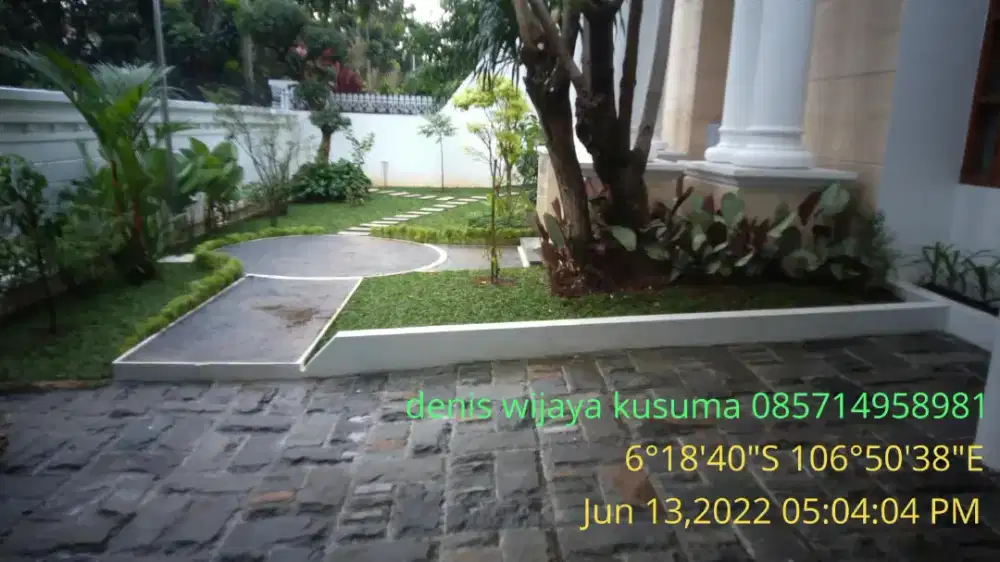 Rumput gajah mini harga termasuk ongkir dan jasa tanam 40.000/meter