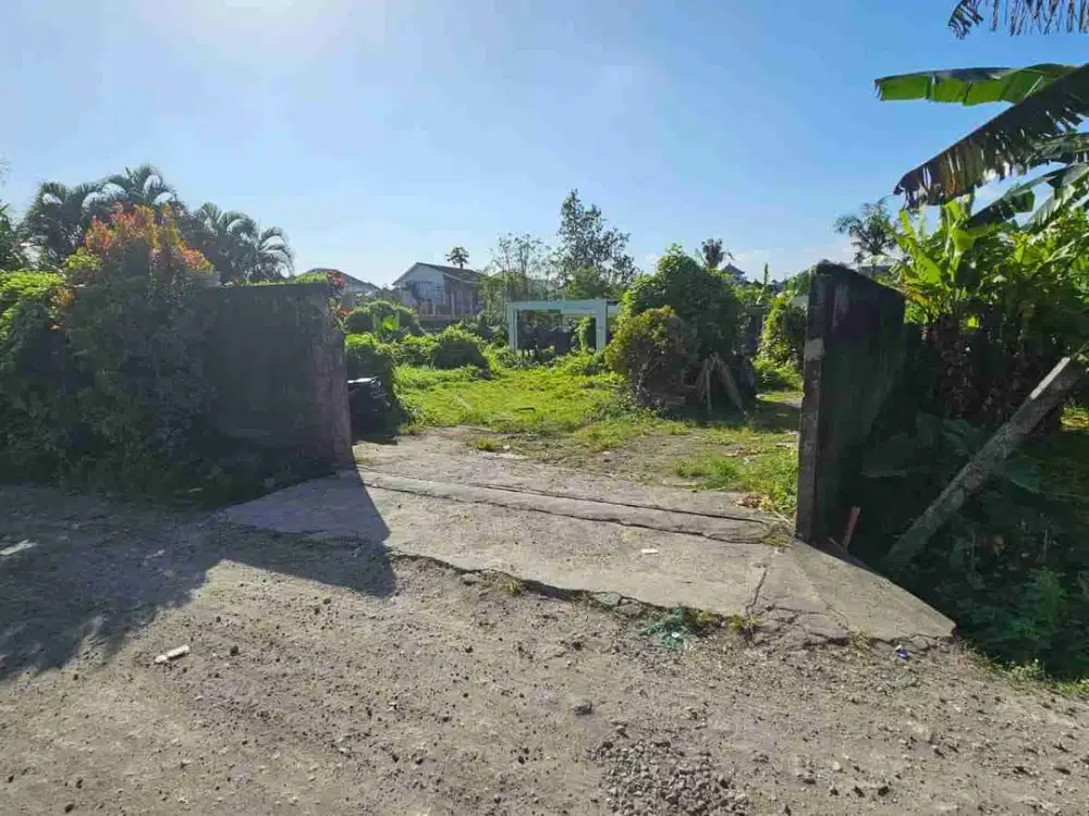 Tanah jantuk angsa pererenan canggu