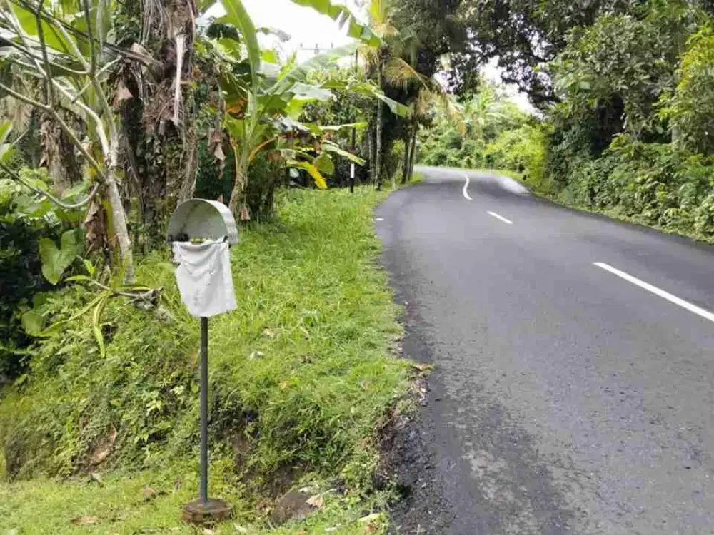 Di jual tanah desa Lalanglinggah , Selemadeg, Tabanan, Bali