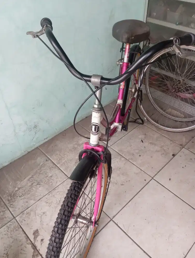 Sepeda mini ukuran 24