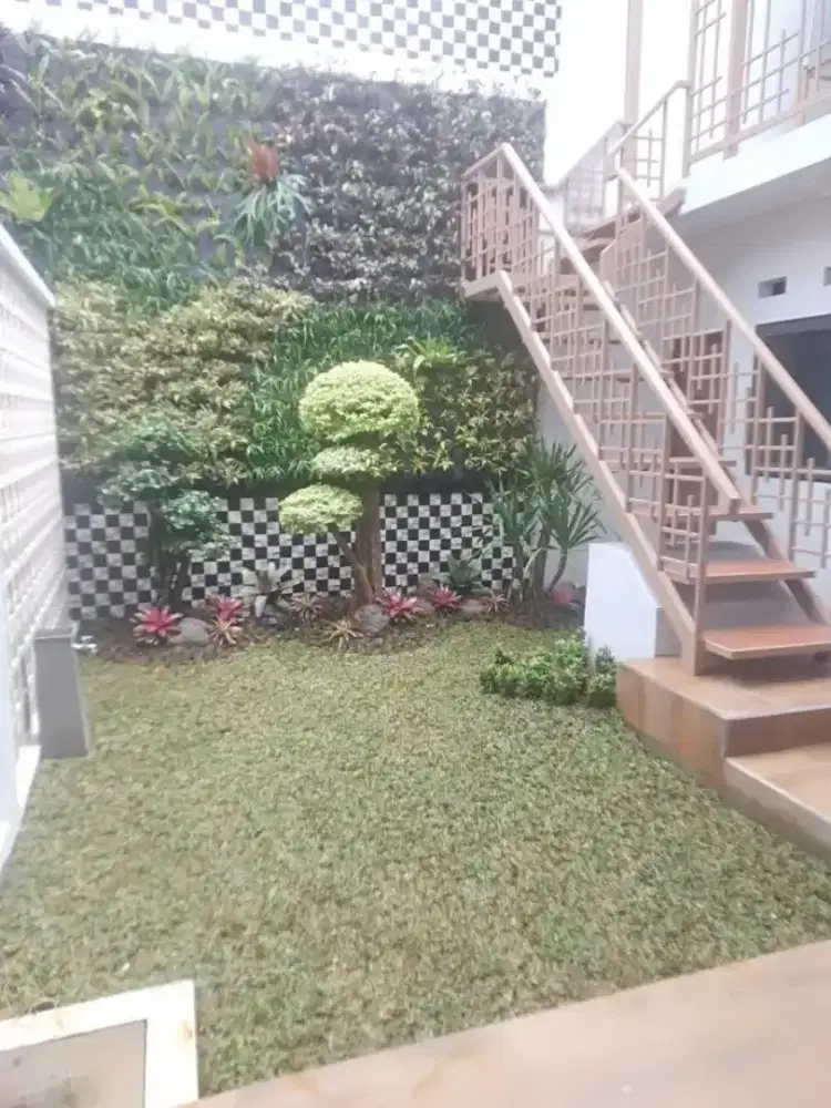 Rumput gajah mini harga termasuk ongkir dan jasa tanam 40.000/meter