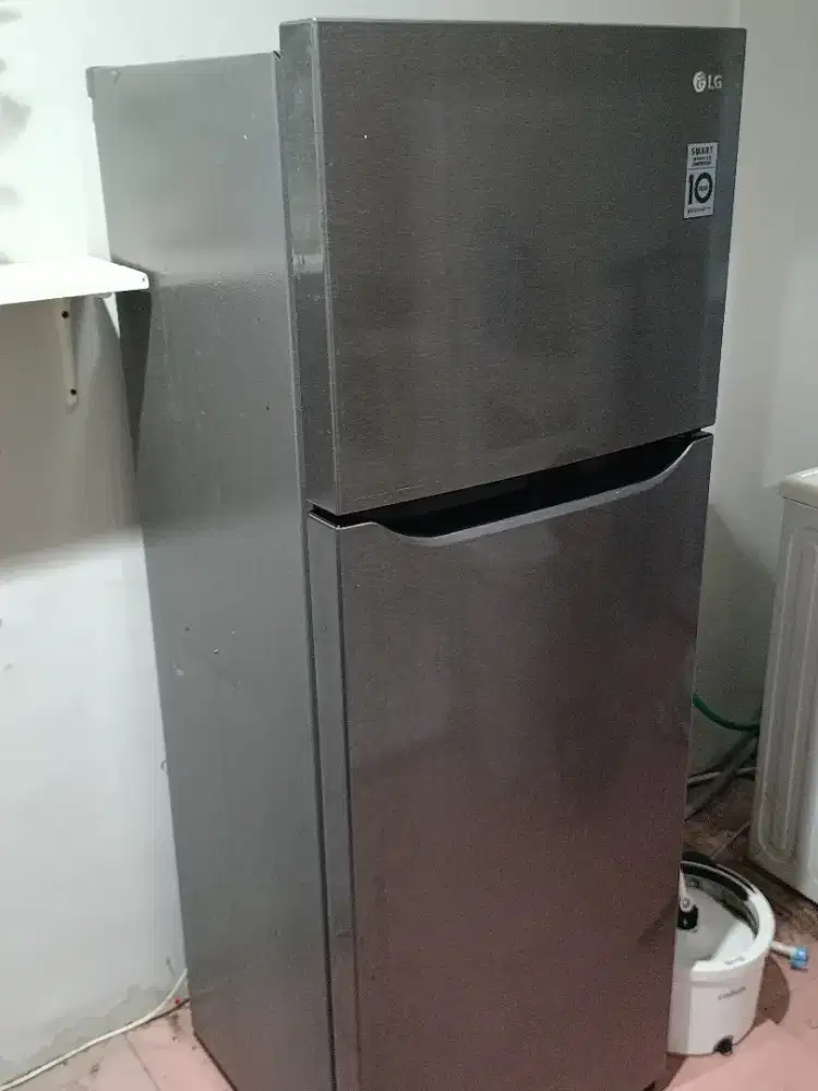 Kulkas LG 2 Pintu 225 Liter Smart Inverter 202