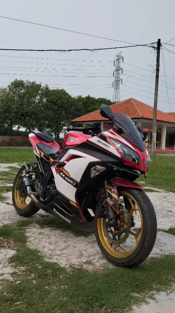 Ninja 250 fi 2013