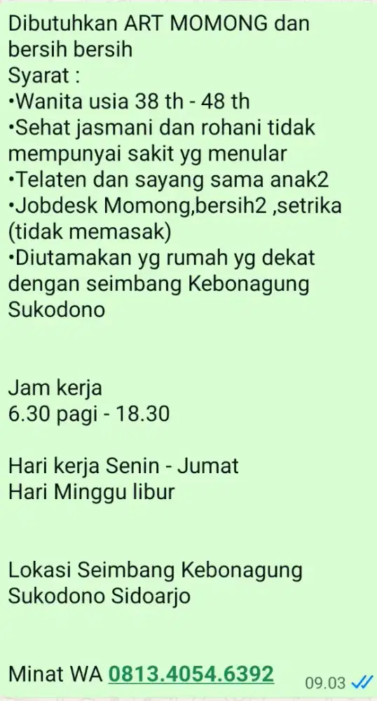 Lowongan momong anak