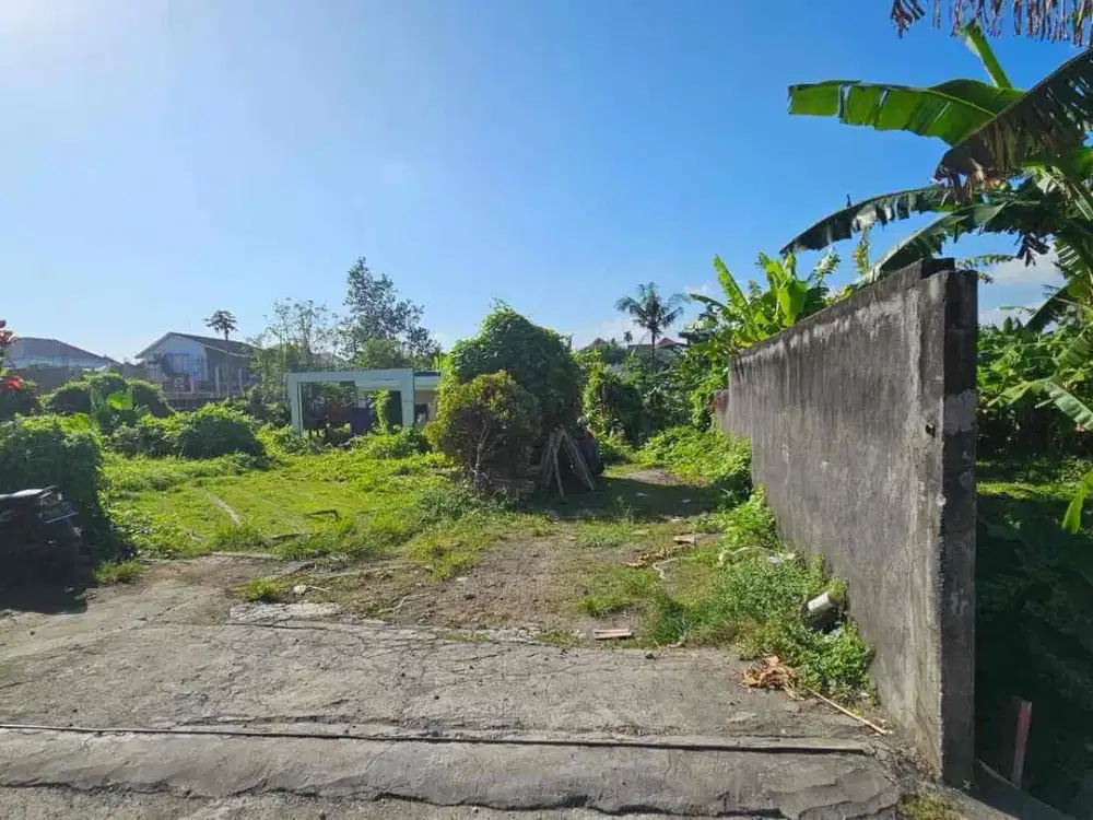 Tanah Jatuk Angsa Pererenan Canggu Badung