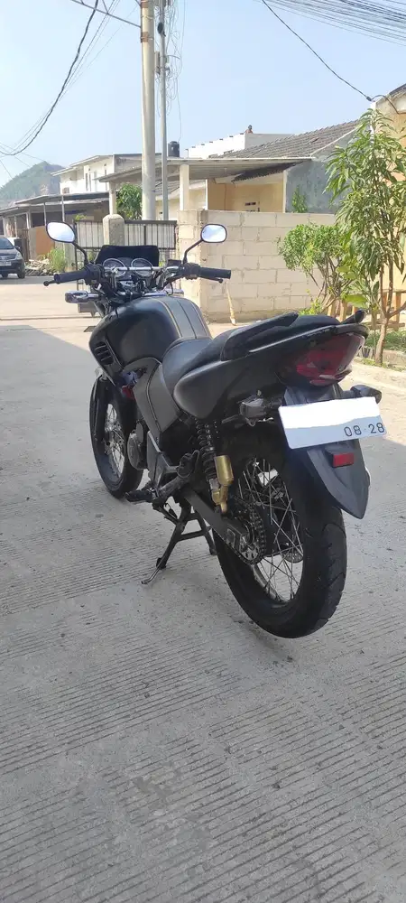 Tiger Revo 2008