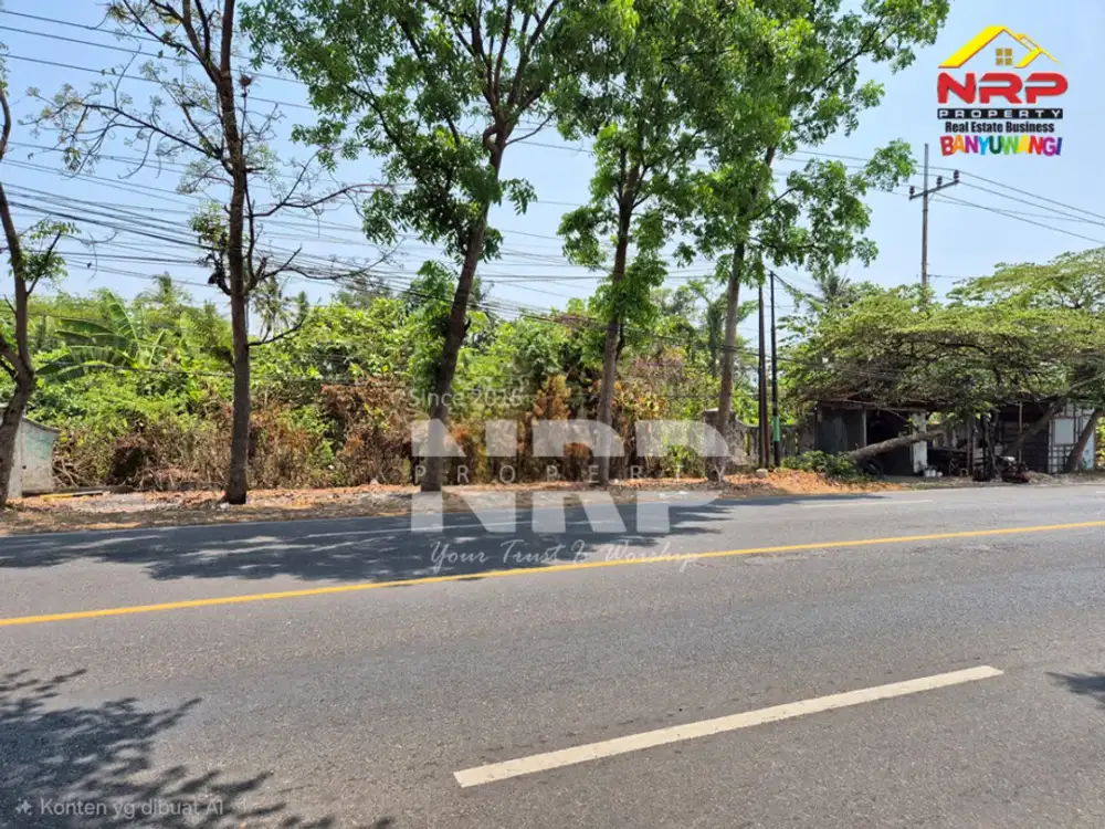 Dijual Tanah Luas di Rogojampi - Banyuwangi