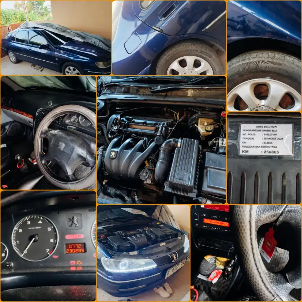 Peugeot 406 Manual 2002. Terawat