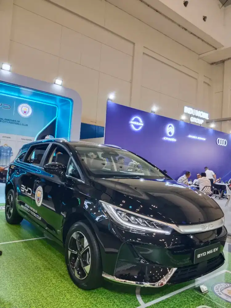 Byd M6 EV VIN 2026