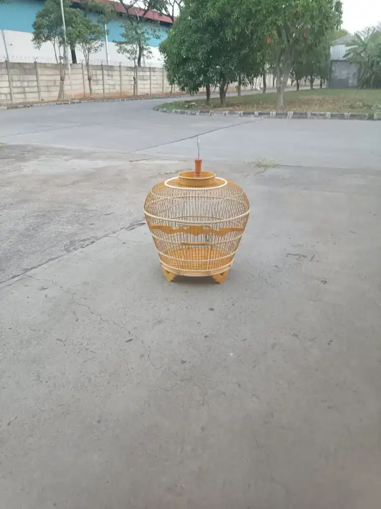 Sangkar burung derkuku puter kutut