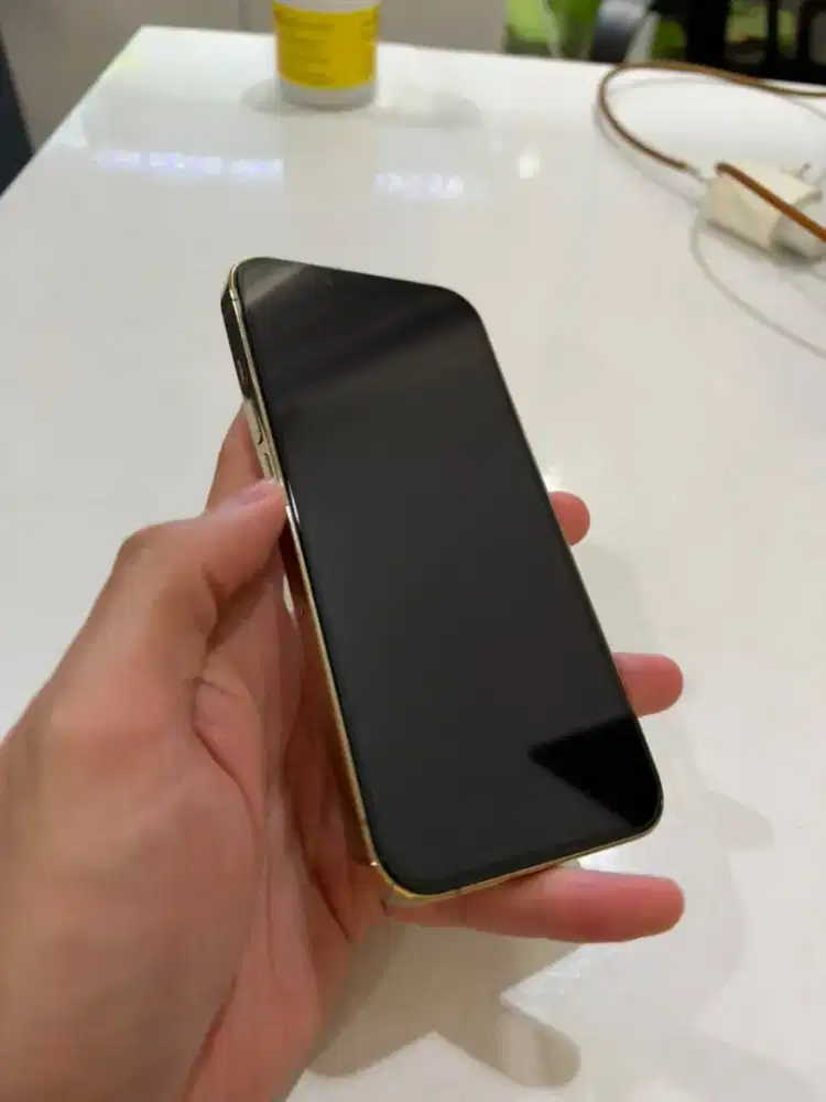 Iphone 13 Pro 256gb Digimap / Ibox