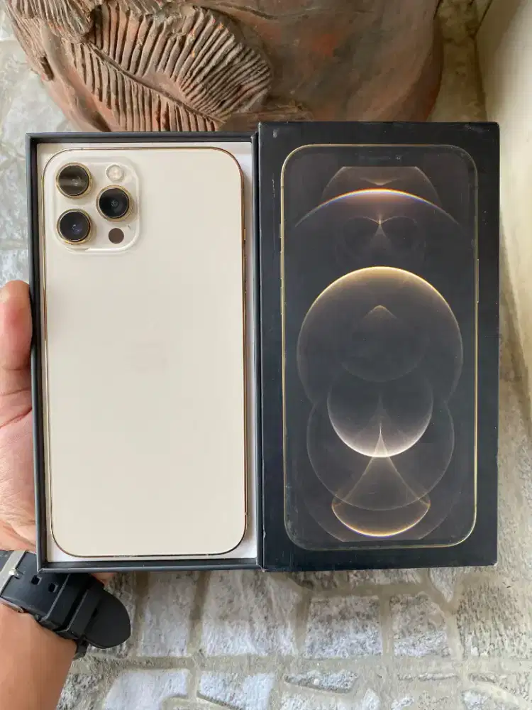 iPhone 12 ProMax 256 GB (Gold), BH100%, Terdaftar Beacukai Resmi