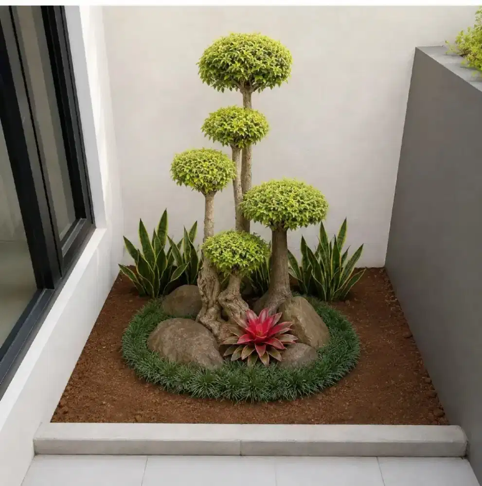 Taman mini bonsay anting putri