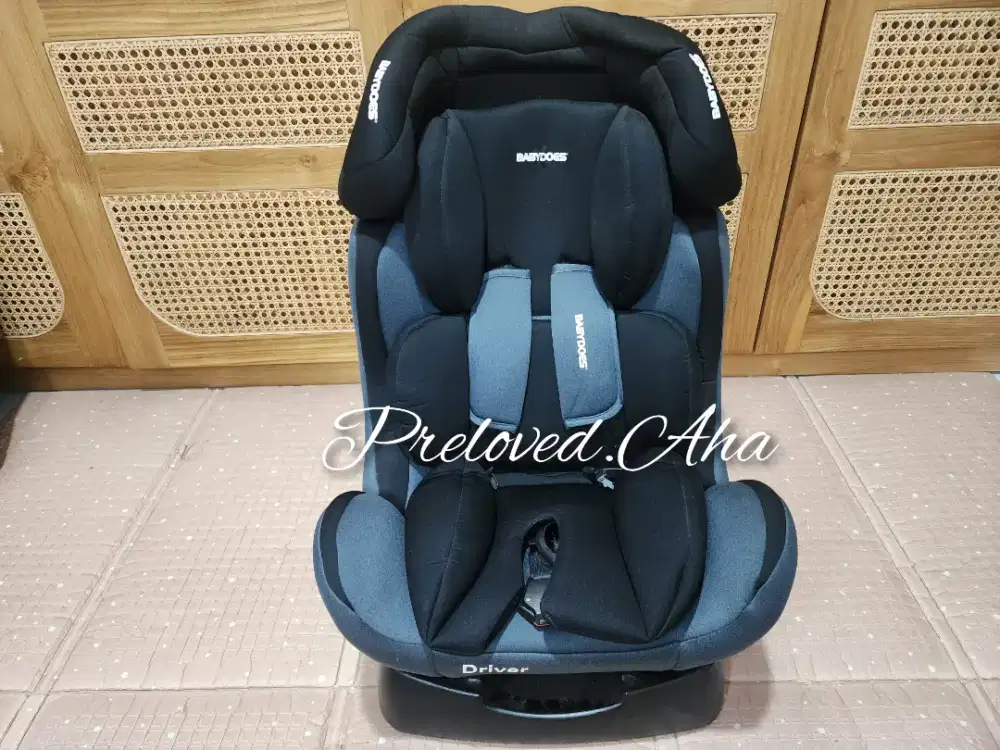 Carseat Baby/ Babydoes Driver