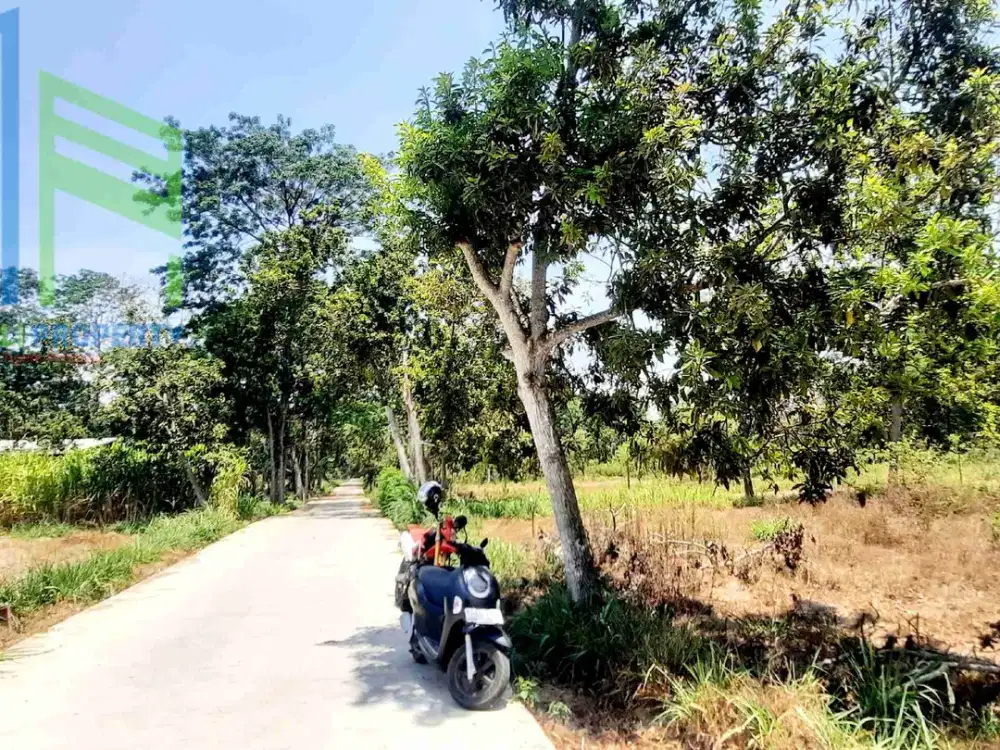 tanah murah di musuk Boyolali