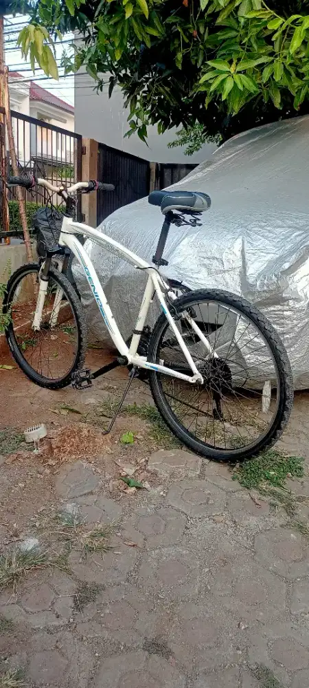 Sepeda Genio, Alloy