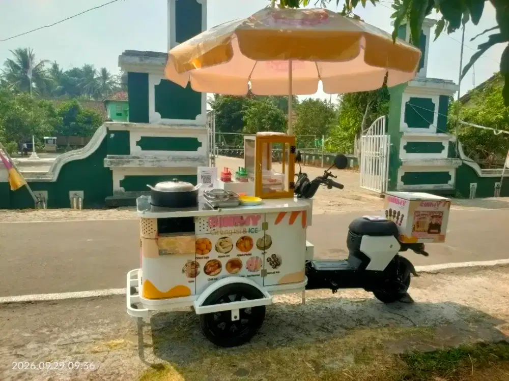 Bismillah...JUAL Gerobak Sepeda Listrik Custom P110 Lithium 600 watt