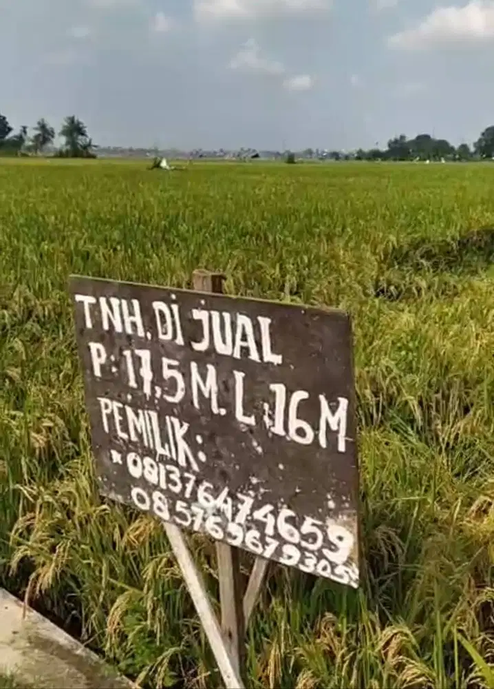 (BU) Tanah dengan Harga Terjangkau Daerah Sunggal, Medan Krio