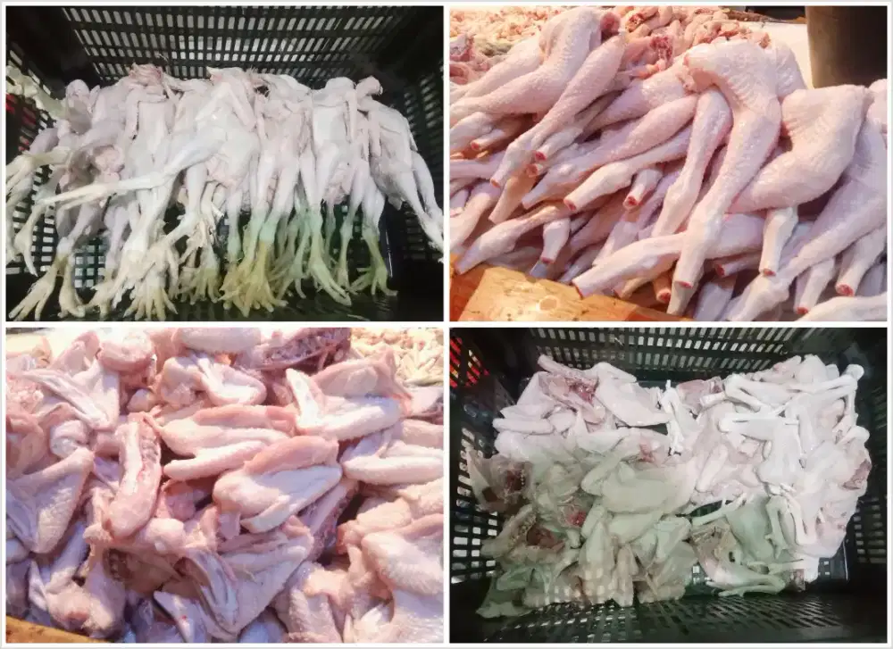 Grosir Ayam Pejantan, karkas, Ati Ampela & Usus Ayam