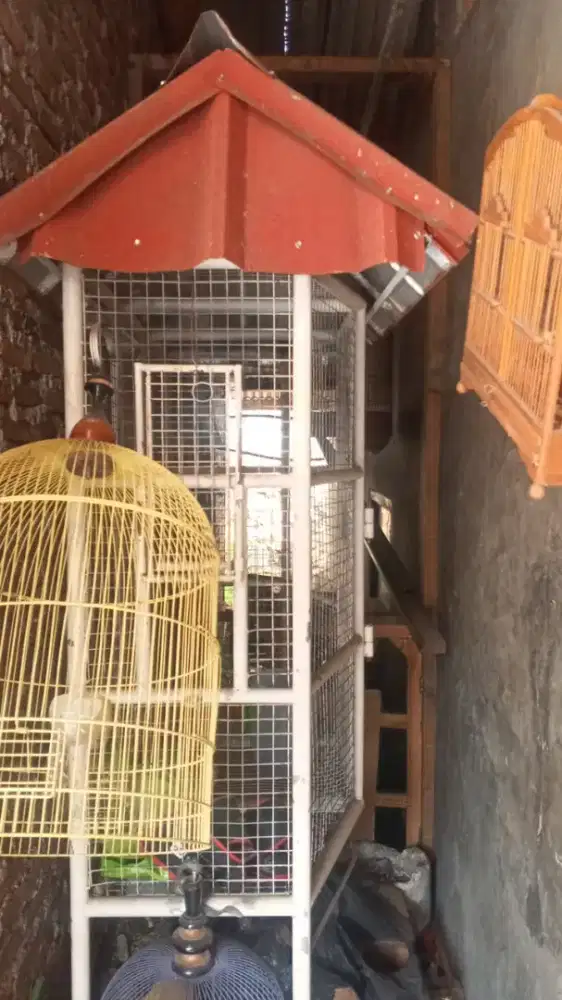 Kandang burung, ayam, kucing, dll