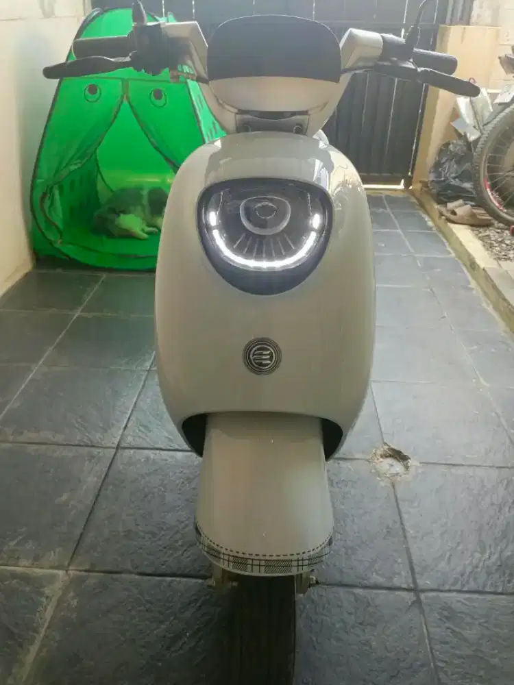 Sepeda listrik Saege Luna 800 watt