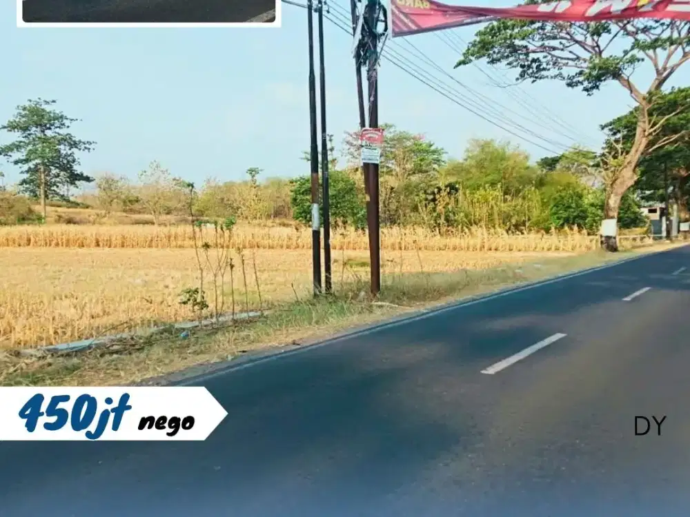 Dijual Sawah Pertanian Di Mancungan, Pedan, Klaten